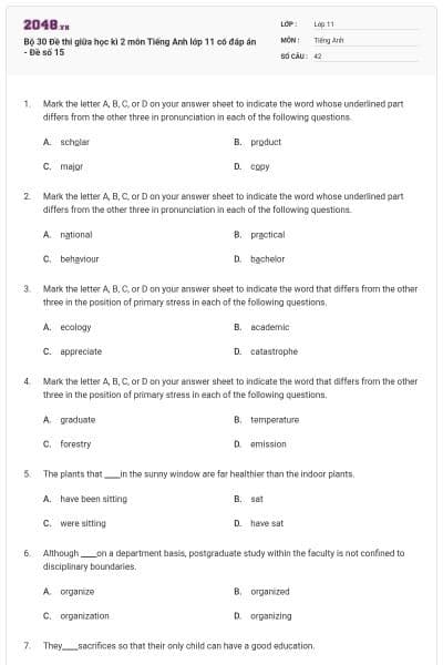 Bộ 30 Đề thi giữa học kì 2 môn Tiếng Anh lớp 11 có đáp án - Đề số 15
