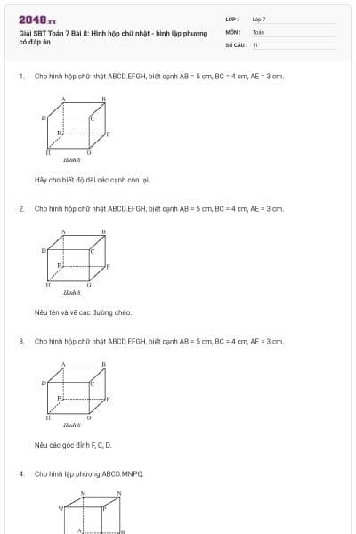 Giải SBT Toán 7 Bài 8: Hình hộp chữ nhật - hình lập phương có đáp án