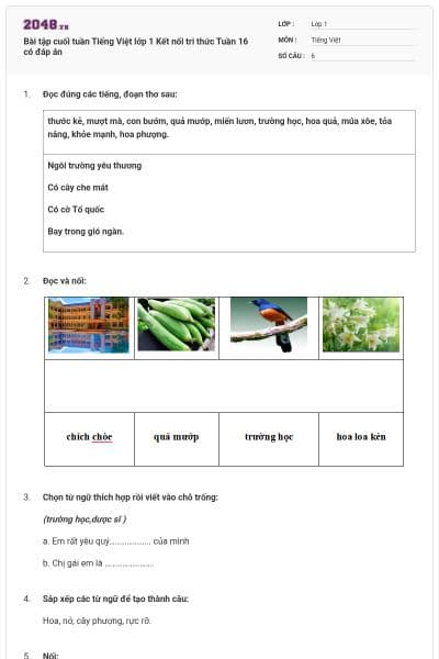 Bài tập cuối tuần Tiếng Việt lớp 1 Kết nối tri thức Tuần 16 có đáp án