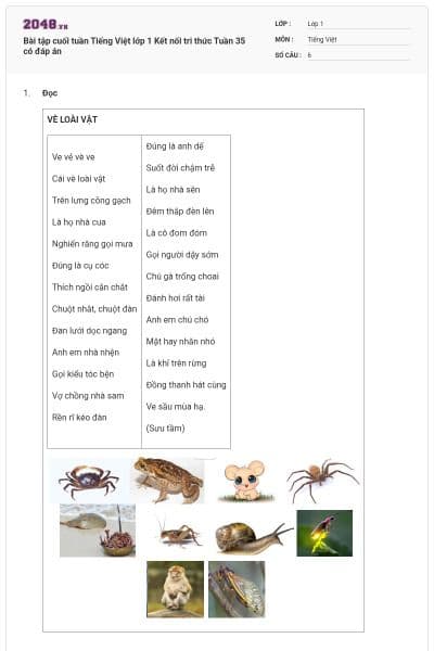 Bài tập cuối tuần Tiếng Việt lớp 1 Kết nối tri thức Tuần 35 có đáp án