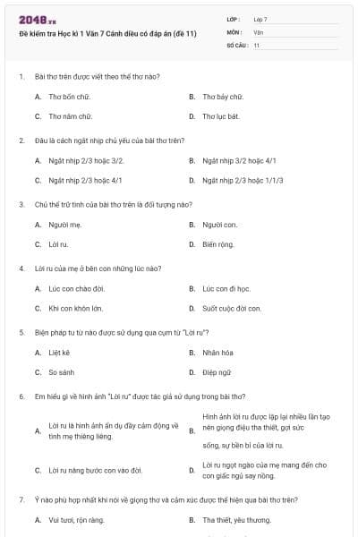 Đề kiểm tra Học kì 1 Văn 7 Cánh diều có đáp án (đề 11)