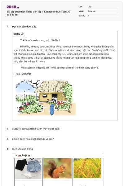 Bài tập cuối tuần Tiếng Việt lớp 1 Kết nối tri thức Tuần 30 có đáp án