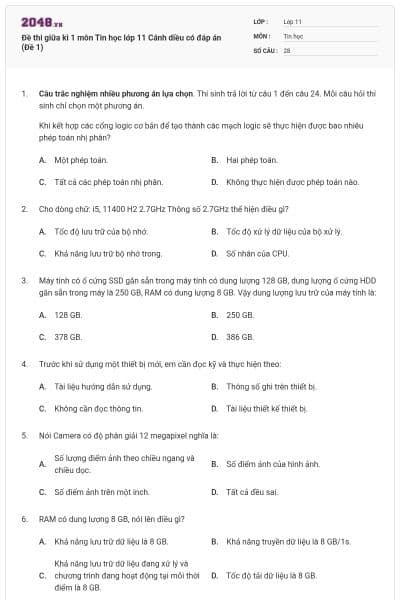 Đề thi giữa kì 1 môn Tin học lớp 11 Cánh diều có đáp án (Đề 1)