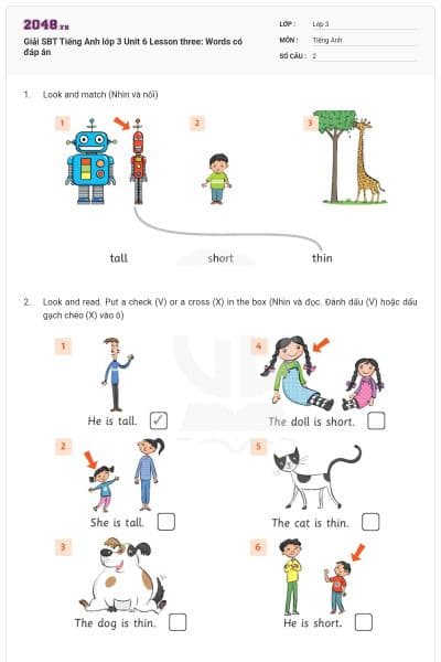 Giải SBT Tiếng Anh lớp 3 Unit 6 Lesson three: Words có đáp án