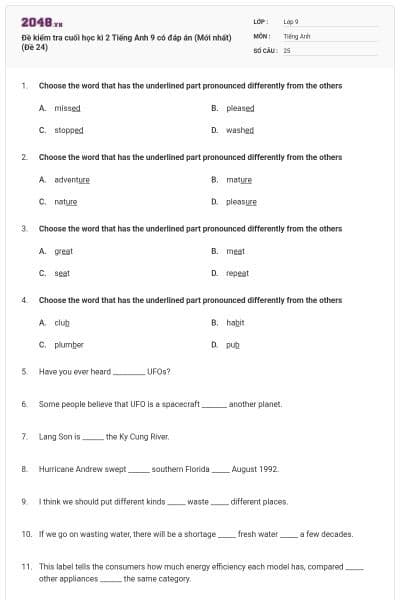 Đề kiểm tra cuối học kì 2 Tiếng Anh 9 có đáp án (Mới nhất) (Đề 24)