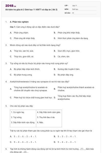 Đề kiểm tra giữa kì 2 Sinh học 11 KNTT có đáp án ( Đề 3)