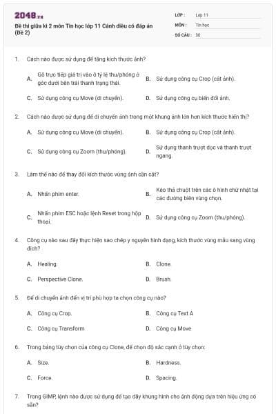 Đề thi giữa kì 2 môn Tin học lớp 11 Cánh diều có đáp án (Đề 2)