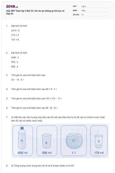 Giải SBT Toán lớp 3 Bài 54. Em ôn lại những gì đã học có đáp án