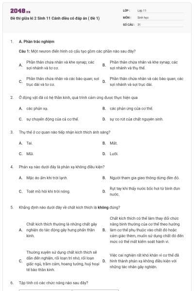 Đề thi giữa kì 2 Sinh 11 Cánh diều có đáp án ( Đề 1)