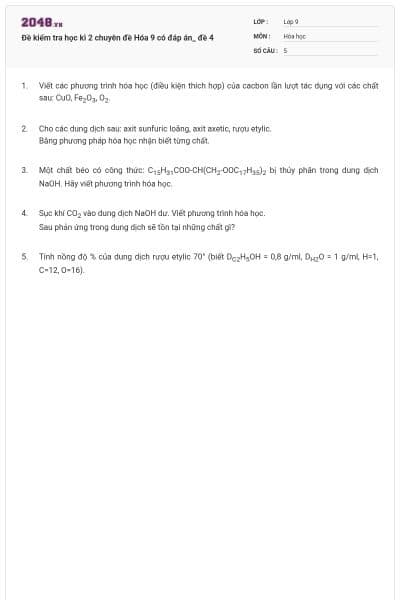 Đề kiểm tra học kì 2 chuyên đề Hóa 9 có đáp án_ đề 4