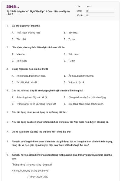 Bộ 15 đề thi giữa kì 1 Ngữ Văn lớp 11 Cánh diều có đáp án - Đề 2