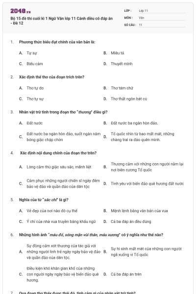 Bộ 15 đề thi cuối kì 1 Ngữ Văn lớp 11 Cánh diều có đáp án - Đề 12