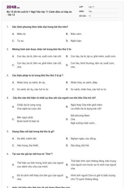 Bộ 15 đề thi cuối kì 1 Ngữ Văn lớp 11 Cánh diều có đáp án - Đề 13