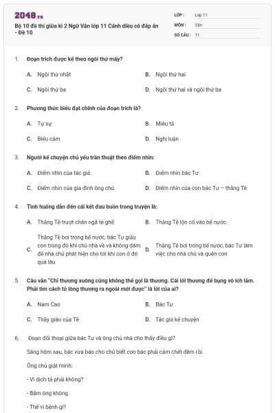 Bộ 10 đề thi giữa kì 2 Ngữ Văn lớp 11 Cánh diều có đáp án - Đề 10