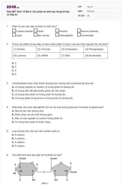 Giải SBT Sinh 10 Bài 6: Các phân tử sinh học trong tế bào có đáp án