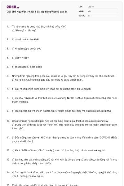 Giải SBT Ngữ Văn 10 Bài 1 Bài tập tiếng Việt có đáp án