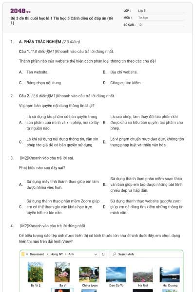 Bộ 3 đề thi cuối học kì 1 Tin học 5 Cánh diều có đáp án (Đề 1)