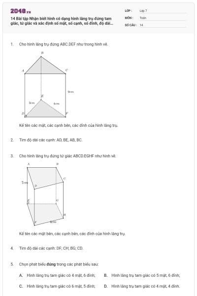 14 Bài tập Nhận biết hình có dạng hình lăng trụ đứng tam giác, tứ giác và xác định số mặt, số cạnh, số đỉnh, độ dài của hình lăng trụ đứng tam giác, tứ giác (có lời giải)