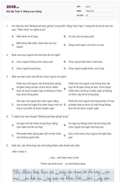 Bài tập Tuần 5: Măng mọc thẳng