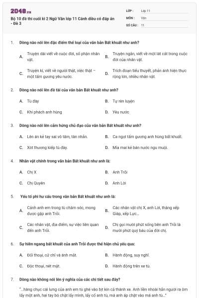 Bộ 10 đề thi cuối kì 2 Ngữ Văn lớp 11 Cánh diều có đáp án - Đề 3