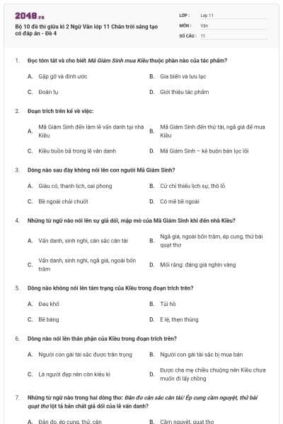 Bộ 10 đề thi giữa kì 2 Ngữ Văn lớp 11 Chân trời sáng tạo có đáp án - Đề 4