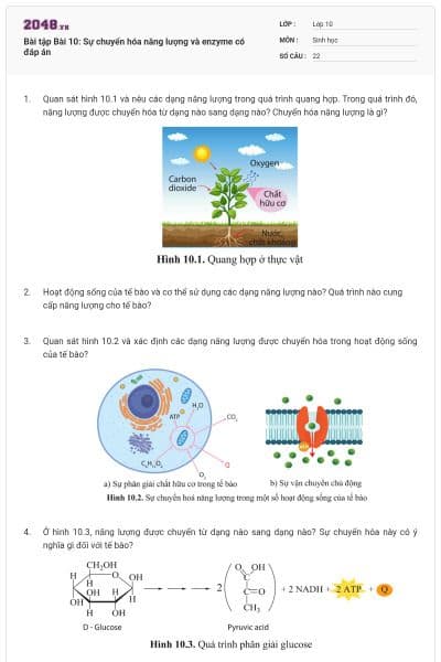 Bài tập Bài 10: Sự chuyển hóa năng lượng và enzyme có đáp án