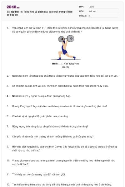 Bài tập Bài 11: Tổng hợp và phân giải các chất trong tế bào có đáp án