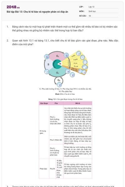 Bài tập Bài 13: Chu kì tế bào và nguyên phân có đáp án