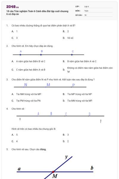 18 câu Trắc nghiệm Toán 6 Cánh diều Bài tập cuối chương 6 có đáp án
