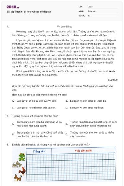 Bài tập Tuần 6: Đi học vui sao có đáp án