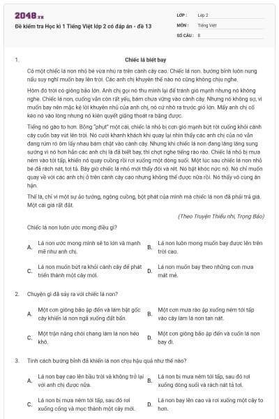 Đề kiểm tra Học kì 1 Tiếng Việt lớp 2 có đáp án - đề 13