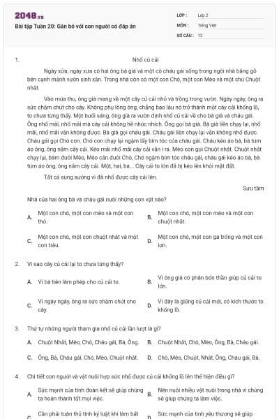 Bài tập Tuần 20: Gắn bó với con người có đáp án