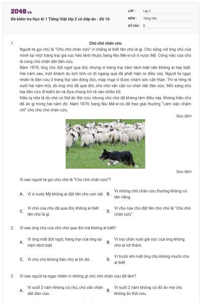 Đề kiểm tra Học kì 1 Tiếng Việt lớp 2 có đáp án - đề 16