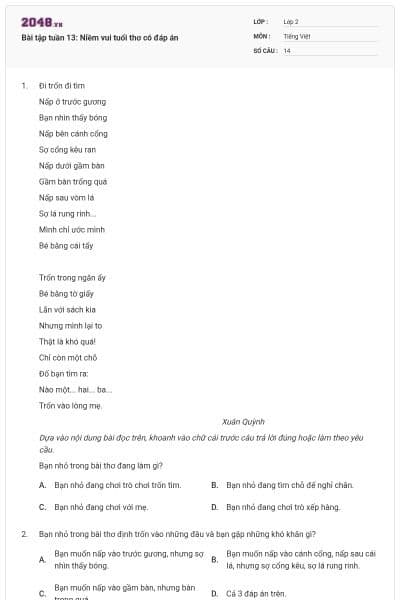 Bài tập tuần 13: Niềm vui tuổi thơ có đáp án