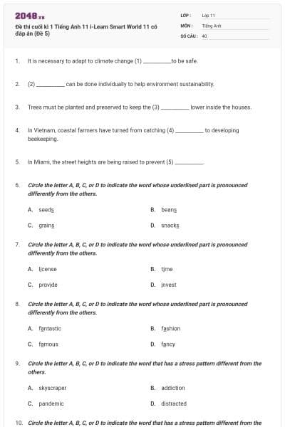 Đề thi cuối kì 1 Tiếng Anh 11 i-Learn Smart World 11 có đáp án (Đề 5)
