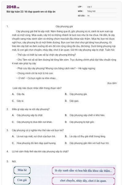 Bài tập tuần 22: Vẻ đẹp quanh em có đáp án