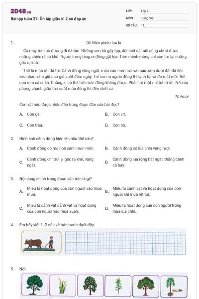 Bài tập tuần 27: Ôn tập giữa kì 2 có đáp án