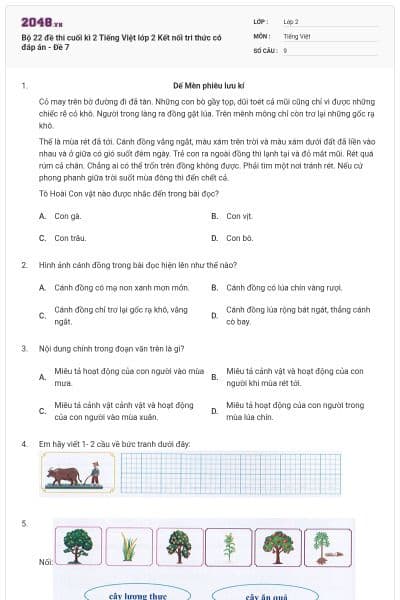 Bộ 22 đề thi cuối kì 2 Tiếng Việt lớp 2 Kết nối tri thức có đáp án - Đề 7