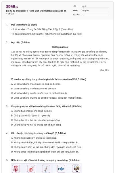 Bộ 22 đề thi cuối kì 2 Tiếng Việt lớp 2 Cánh diều có đáp án - Đề 22