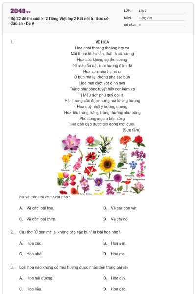 Bộ 22 đề thi cuối kì 2 Tiếng Việt lớp 2 Kết nối tri thức có đáp án - Đề 9
