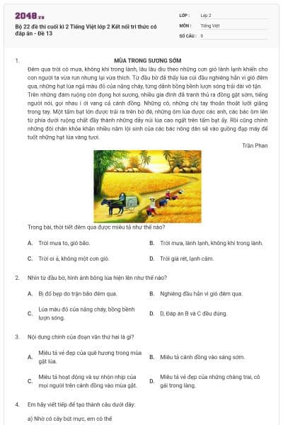 Bộ 22 đề thi cuối kì 2 Tiếng Việt lớp 2 Kết nối tri thức có đáp án - Đề 13