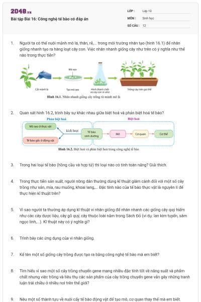 Bài tập Bài 16: Công nghệ tế bào có đáp án