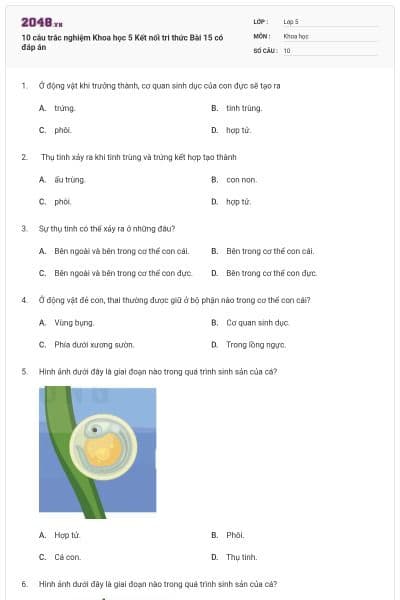 10 câu trắc nghiệm Khoa học 5 Kết nối tri thức Bài 15 có đáp án