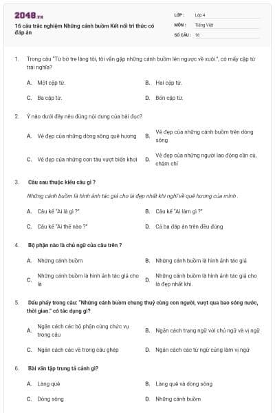 16 câu trắc nghiệm Những cánh buồm  Kết nối tri thức có đáp án