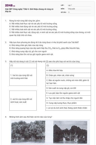 Giải SBT Công nghệ 7 Bài 4. Giới thiệu chung về rừng có đáp án