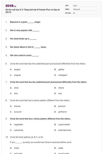Đề thi cuối học kì 2 Tiếng Anh lớp 8 Friends Plus có đáp án (Đề 5)