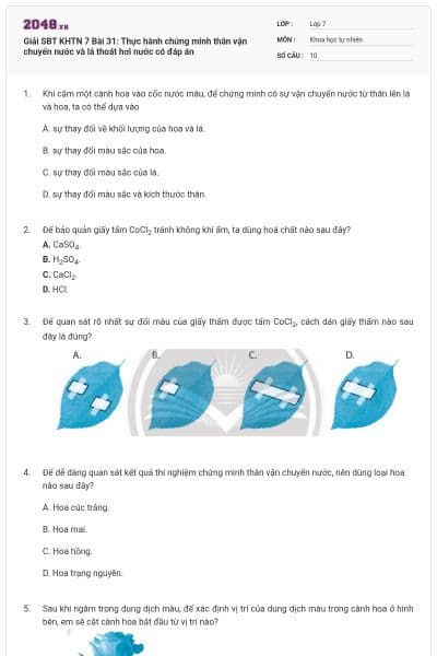 Giải SBT KHTN 7 Bài 31: Thực hành chứng minh thân vận chuyển nước và lá thoát hơi nước có đáp án