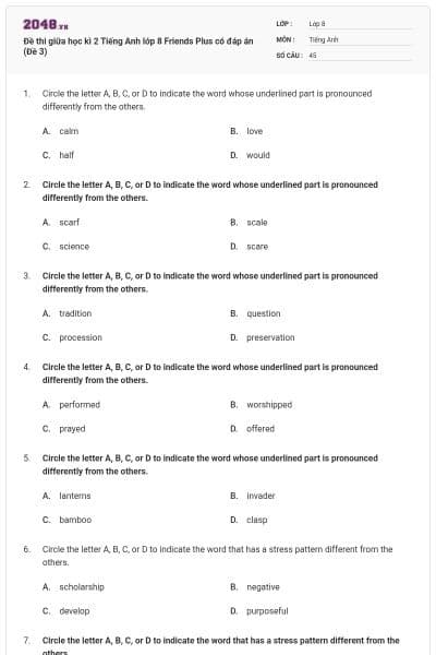 Đề thi giữa học kì 2 Tiếng Anh lớp 8 Friends Plus có đáp án (Đề 3)