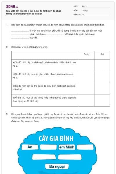 Giải VBT Tin học lớp 3 Bài 8. Sơ đồ hình cây. Tổ chức thông tin trong máy tính có đáp án