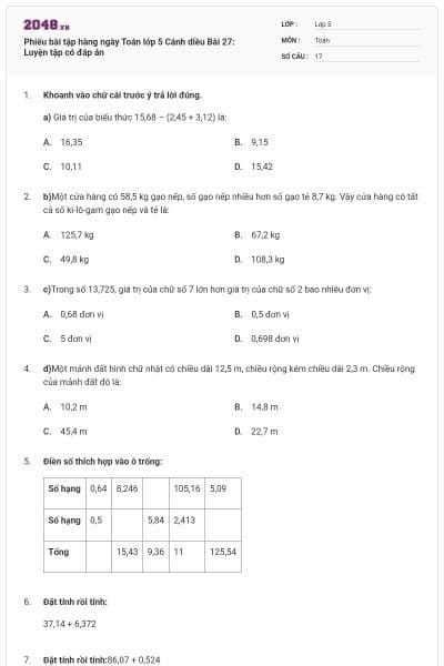 Phiếu bài tập hàng ngày Toán lớp 5 Cánh diều Bài 27: Luyện tập có đáp án